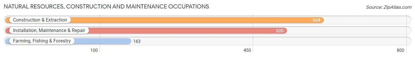 Natural Resources, Construction and Maintenance Occupations in Wexford County