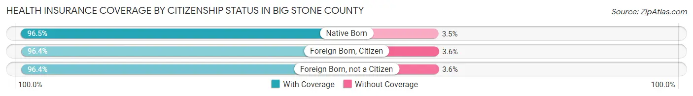 Health Insurance Coverage by Citizenship Status in Big Stone County