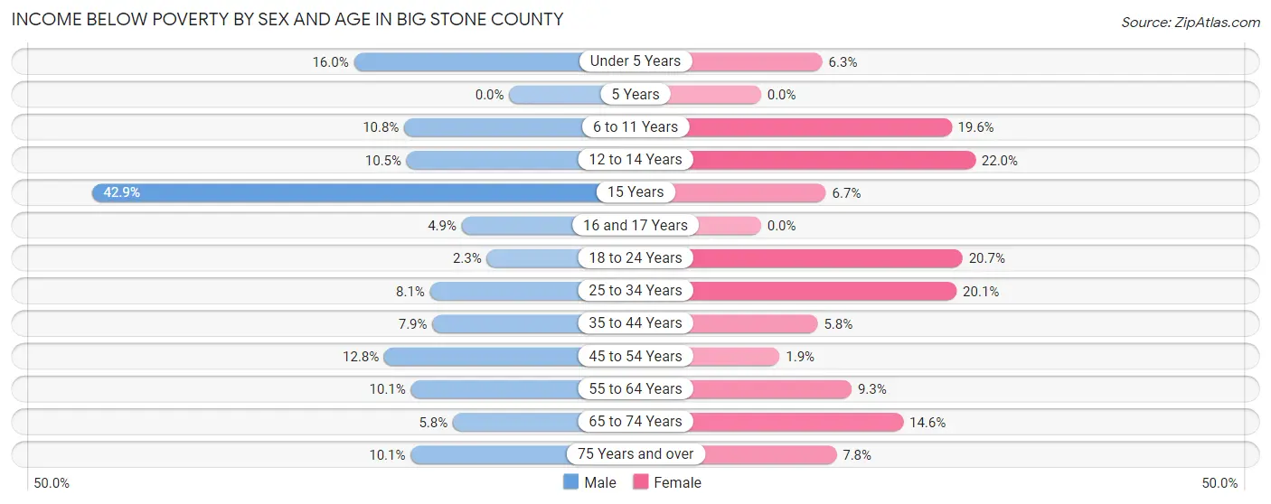 Income Below Poverty by Sex and Age in Big Stone County