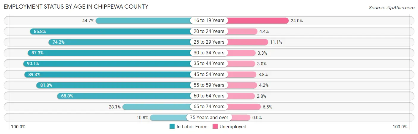 Employment Status by Age in Chippewa County