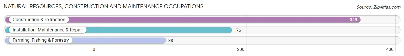 Natural Resources, Construction and Maintenance Occupations in Chippewa County