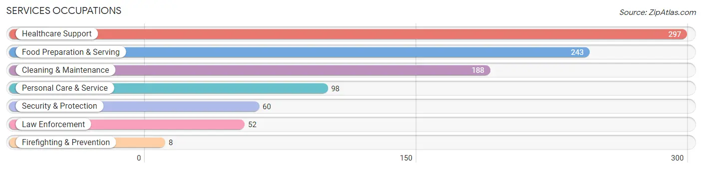 Services Occupations in Chippewa County