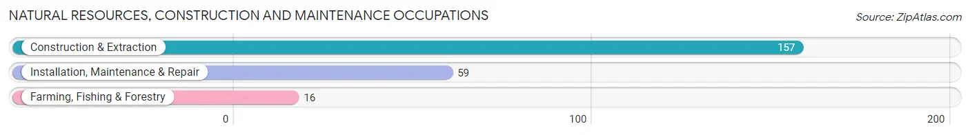 Natural Resources, Construction and Maintenance Occupations in Cook County