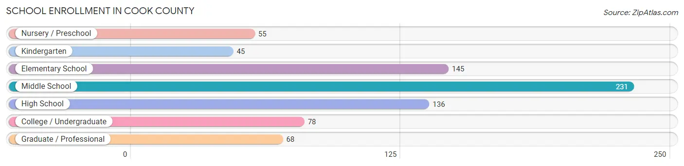 School Enrollment in Cook County