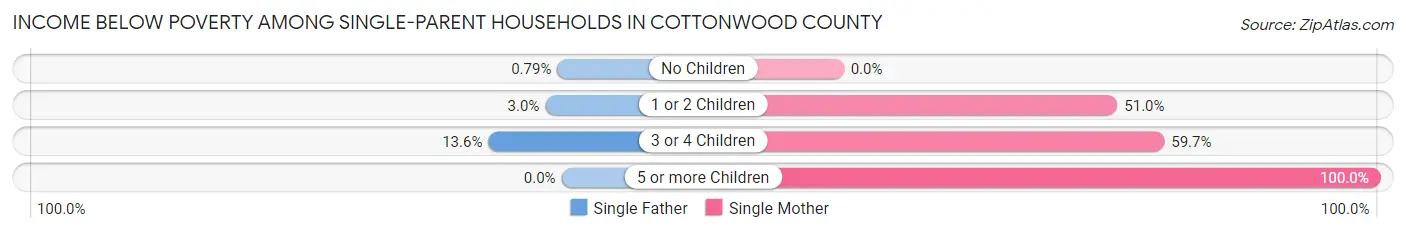 Income Below Poverty Among Single-Parent Households in Cottonwood County