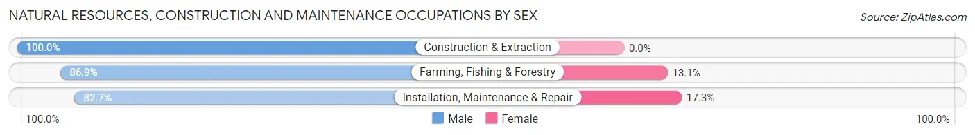 Natural Resources, Construction and Maintenance Occupations by Sex in Cottonwood County