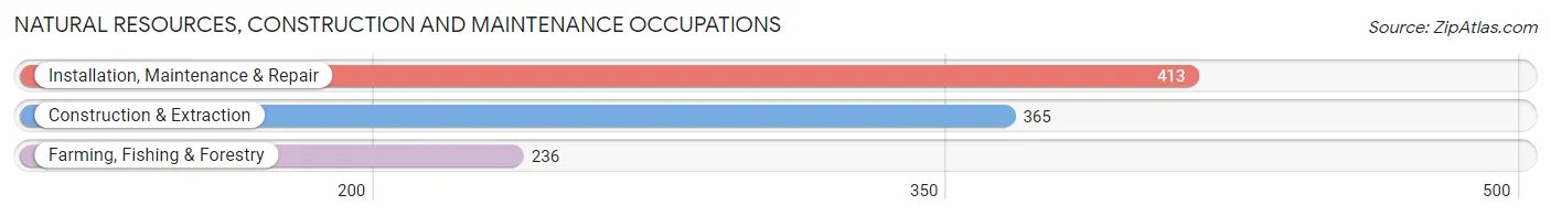 Natural Resources, Construction and Maintenance Occupations in Faribault County