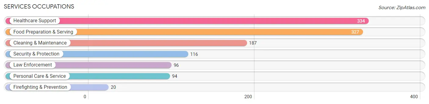 Services Occupations in Faribault County