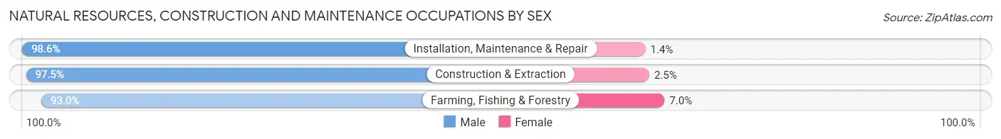 Natural Resources, Construction and Maintenance Occupations by Sex in Fillmore County