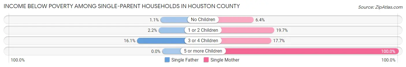 Income Below Poverty Among Single-Parent Households in Houston County