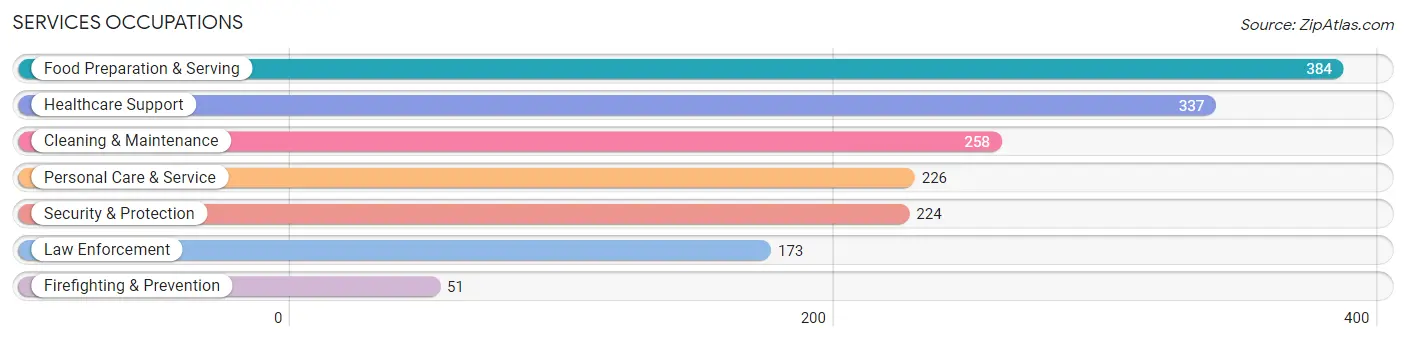 Services Occupations in Houston County