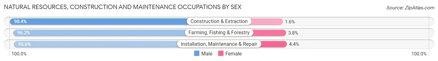 Natural Resources, Construction and Maintenance Occupations by Sex in Le Sueur County