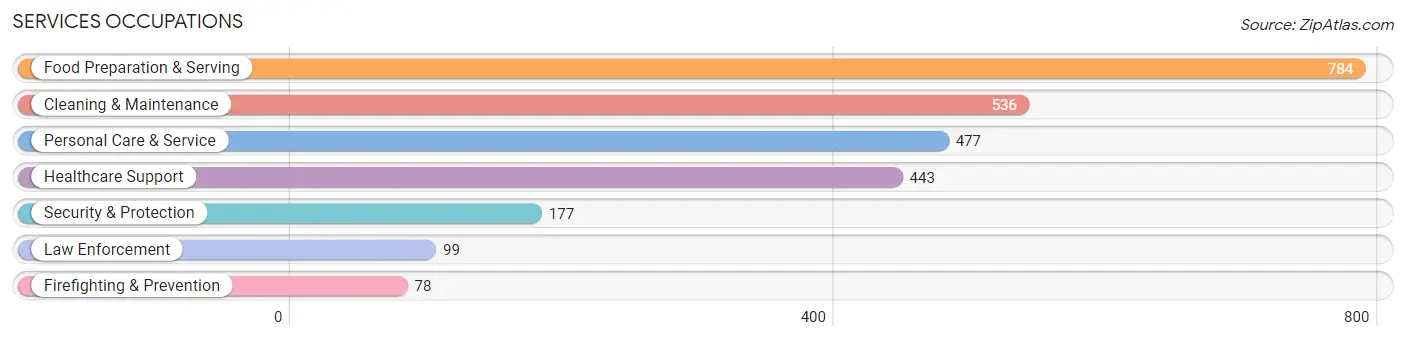 Services Occupations in Le Sueur County