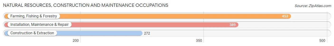 Natural Resources, Construction and Maintenance Occupations in Martin County