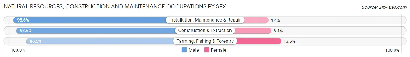 Natural Resources, Construction and Maintenance Occupations by Sex in Meeker County