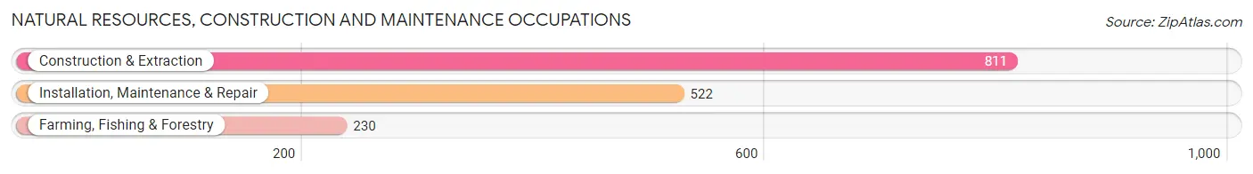 Natural Resources, Construction and Maintenance Occupations in Meeker County