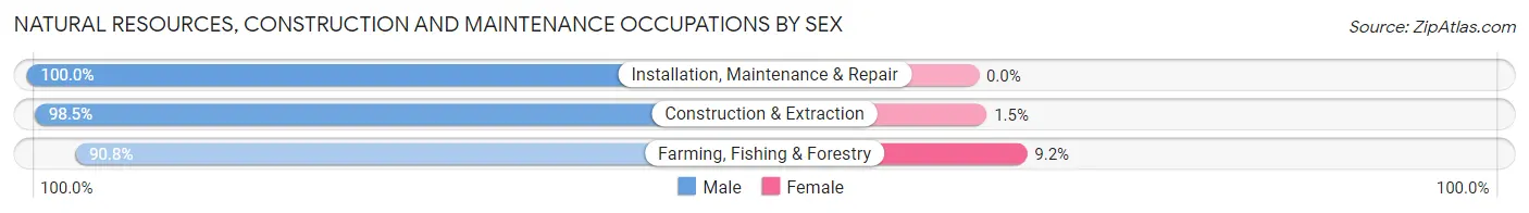 Natural Resources, Construction and Maintenance Occupations by Sex in Nobles County