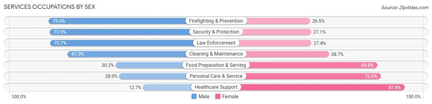 Services Occupations by Sex in Pine County