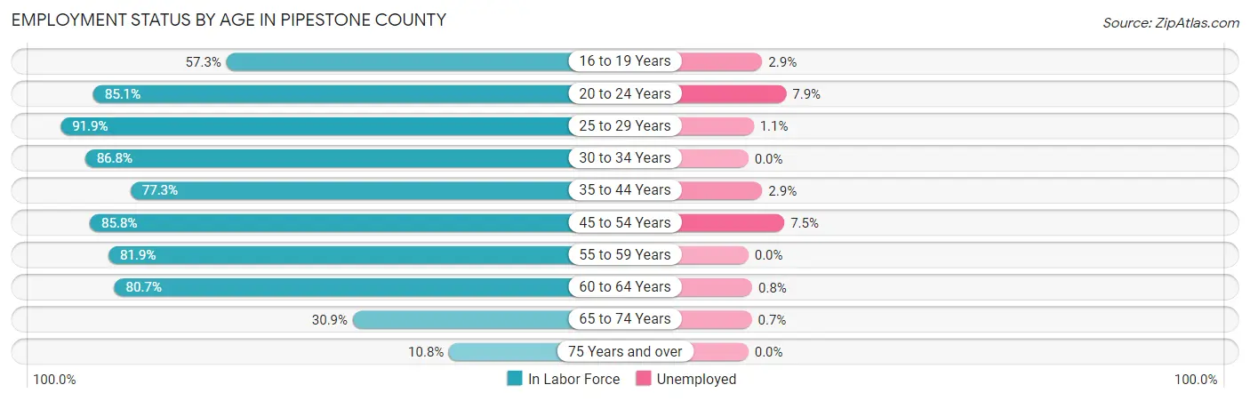 Employment Status by Age in Pipestone County