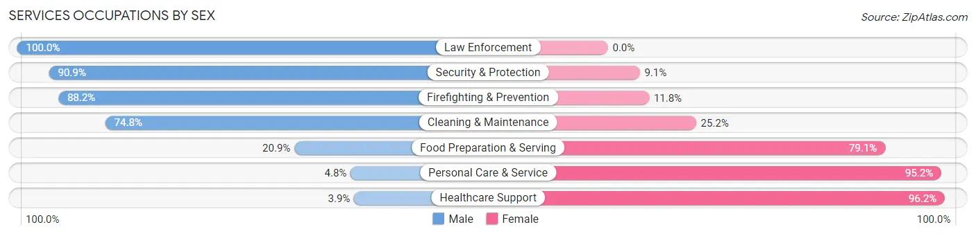 Services Occupations by Sex in Pipestone County