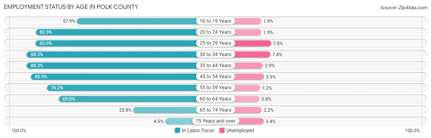 Employment Status by Age in Polk County