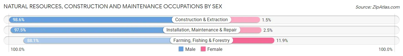 Natural Resources, Construction and Maintenance Occupations by Sex in Red Lake County