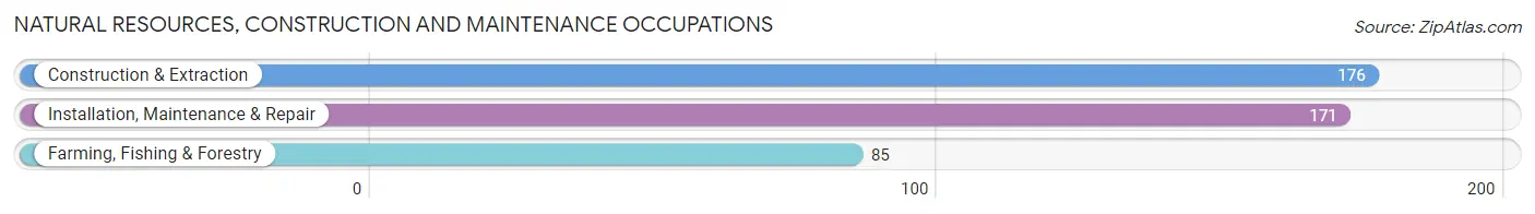 Natural Resources, Construction and Maintenance Occupations in Rock County