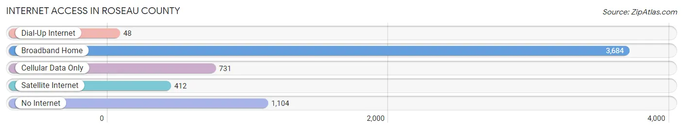 Internet Access in Roseau County