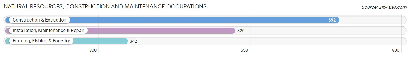 Natural Resources, Construction and Maintenance Occupations in Todd County