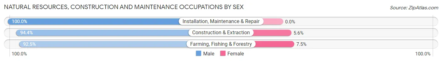 Natural Resources, Construction and Maintenance Occupations by Sex in Wadena County