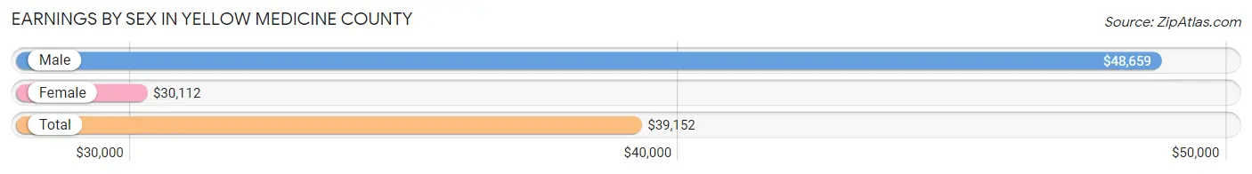 Earnings by Sex in Yellow Medicine County