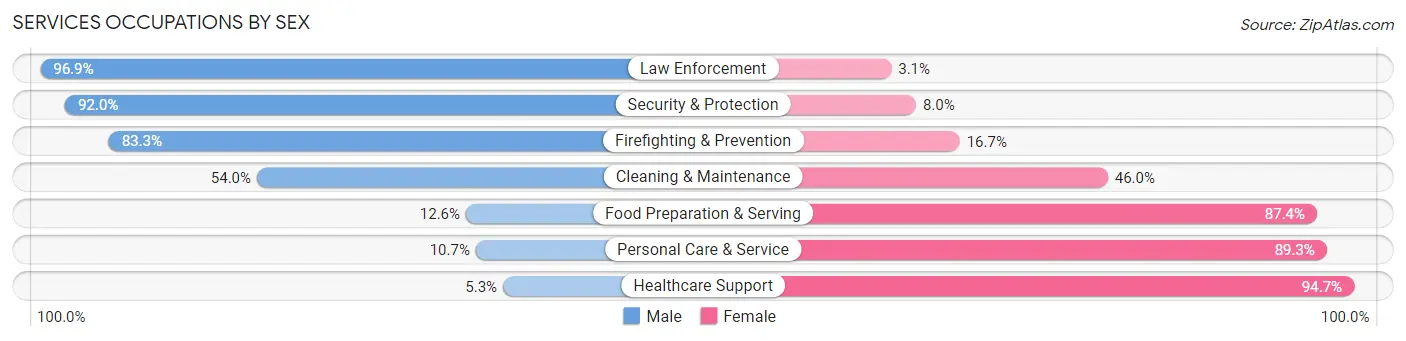 Services Occupations by Sex in Yellow Medicine County