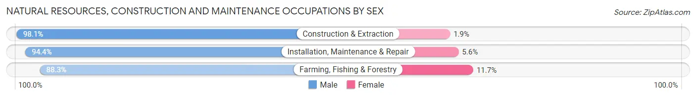 Natural Resources, Construction and Maintenance Occupations by Sex in Bates County