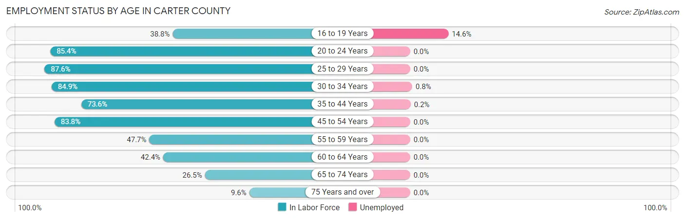 Employment Status by Age in Carter County