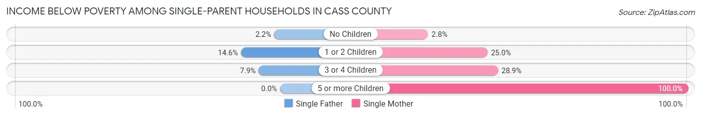 Income Below Poverty Among Single-Parent Households in Cass County