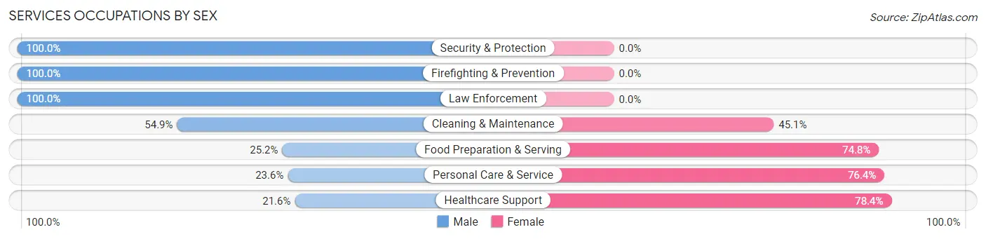 Services Occupations by Sex in Dade County