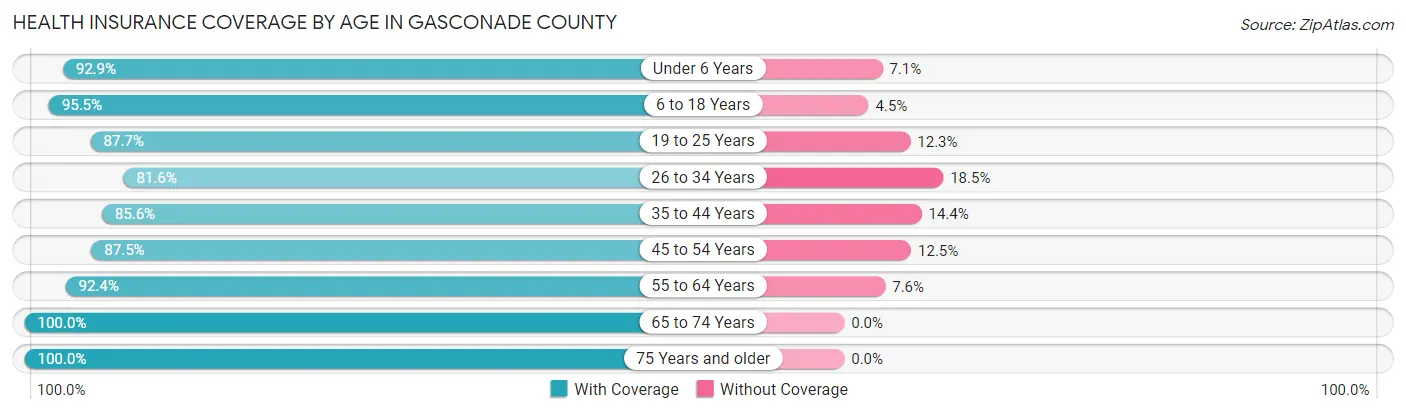 Health Insurance Coverage by Age in Gasconade County