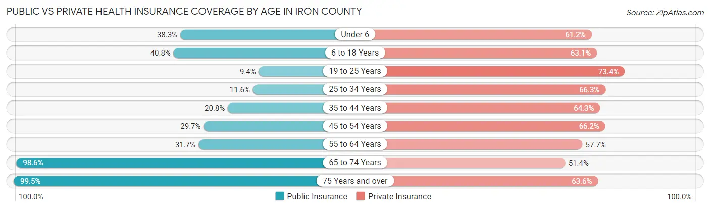 Public vs Private Health Insurance Coverage by Age in Iron County
