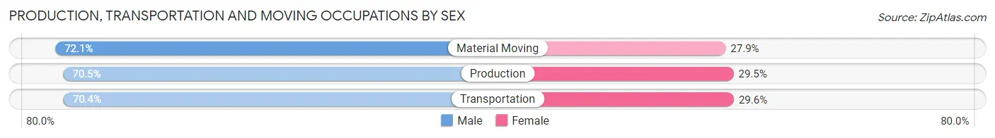 Production, Transportation and Moving Occupations by Sex in Mercer County