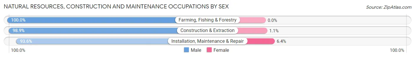 Natural Resources, Construction and Maintenance Occupations by Sex in Miller County