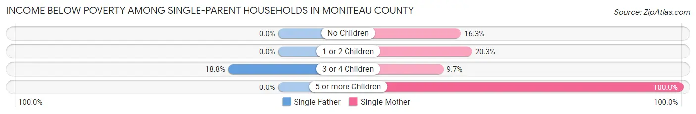 Income Below Poverty Among Single-Parent Households in Moniteau County