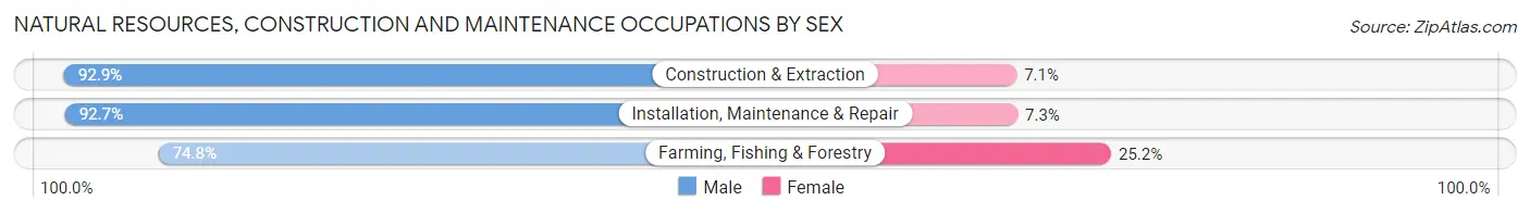 Natural Resources, Construction and Maintenance Occupations by Sex in Ozark County