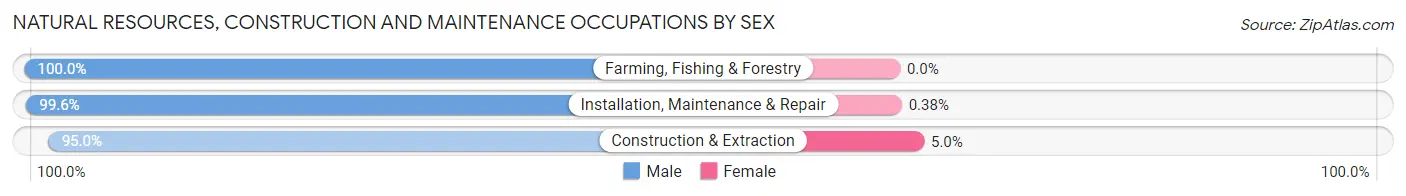 Natural Resources, Construction and Maintenance Occupations by Sex in Pemiscot County