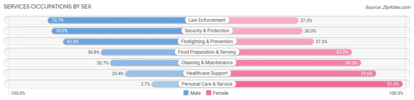 Services Occupations by Sex in Pemiscot County