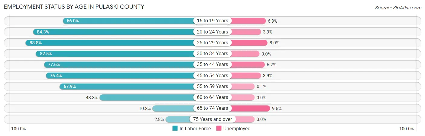 Employment Status by Age in Pulaski County