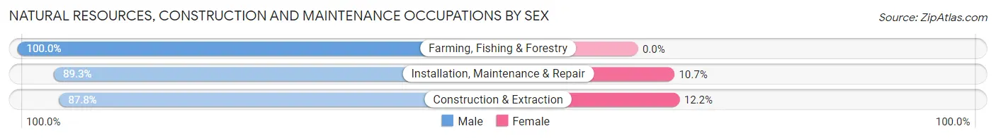Natural Resources, Construction and Maintenance Occupations by Sex in Ralls County