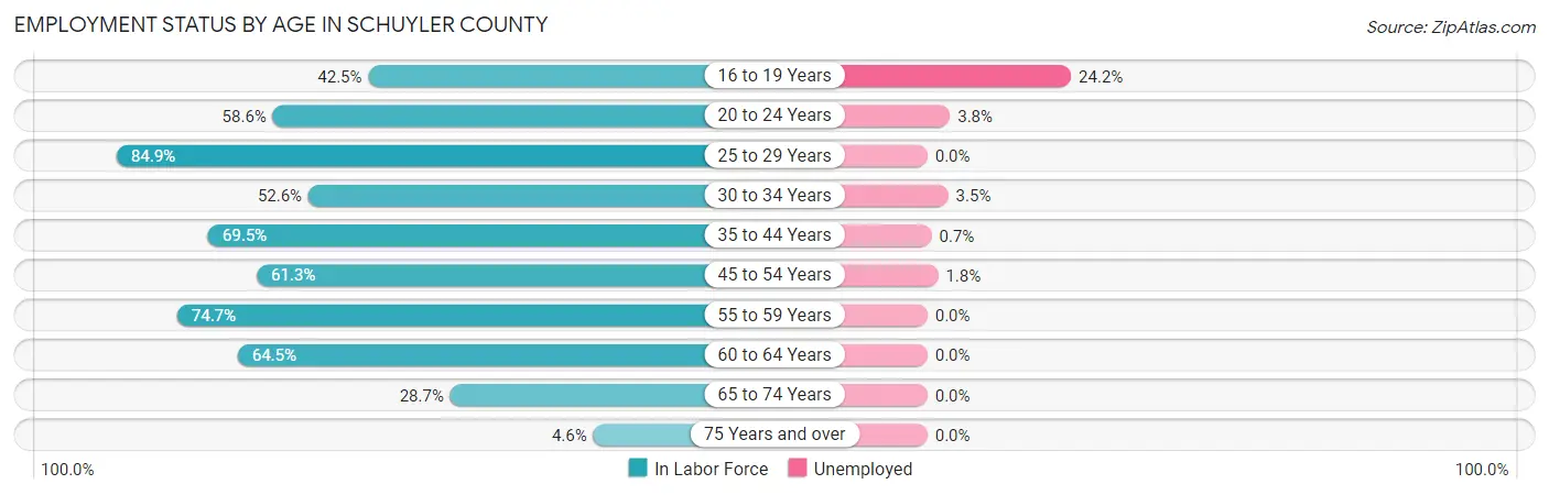 Employment Status by Age in Schuyler County