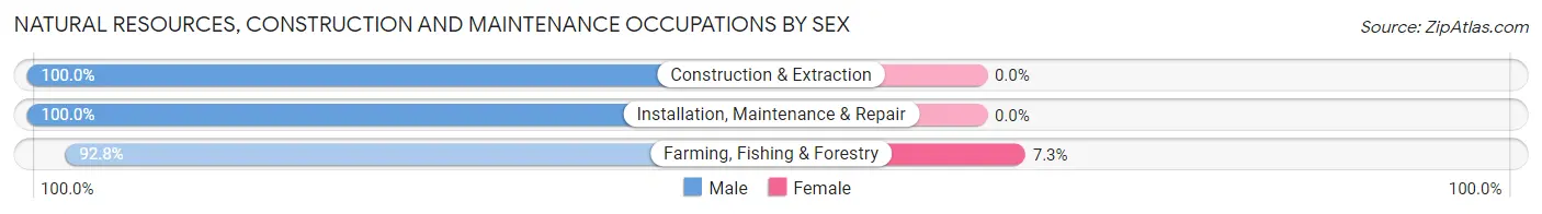 Natural Resources, Construction and Maintenance Occupations by Sex in Schuyler County