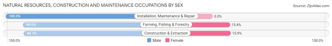 Natural Resources, Construction and Maintenance Occupations by Sex in Shannon County