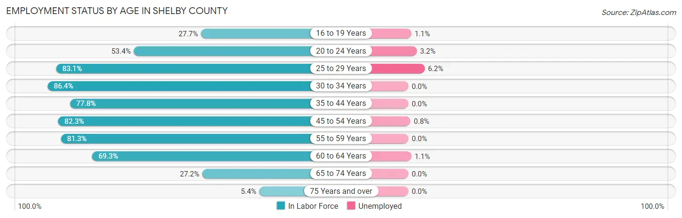 Employment Status by Age in Shelby County